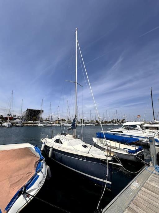 Marine Dream Valencia Valência Exterior foto